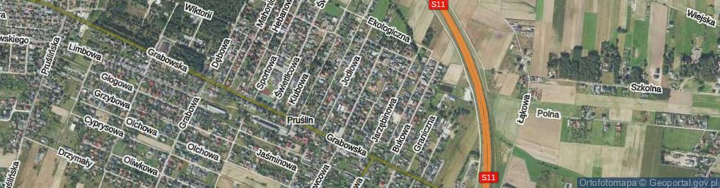 Zdjęcie satelitarne Cisowa ul.